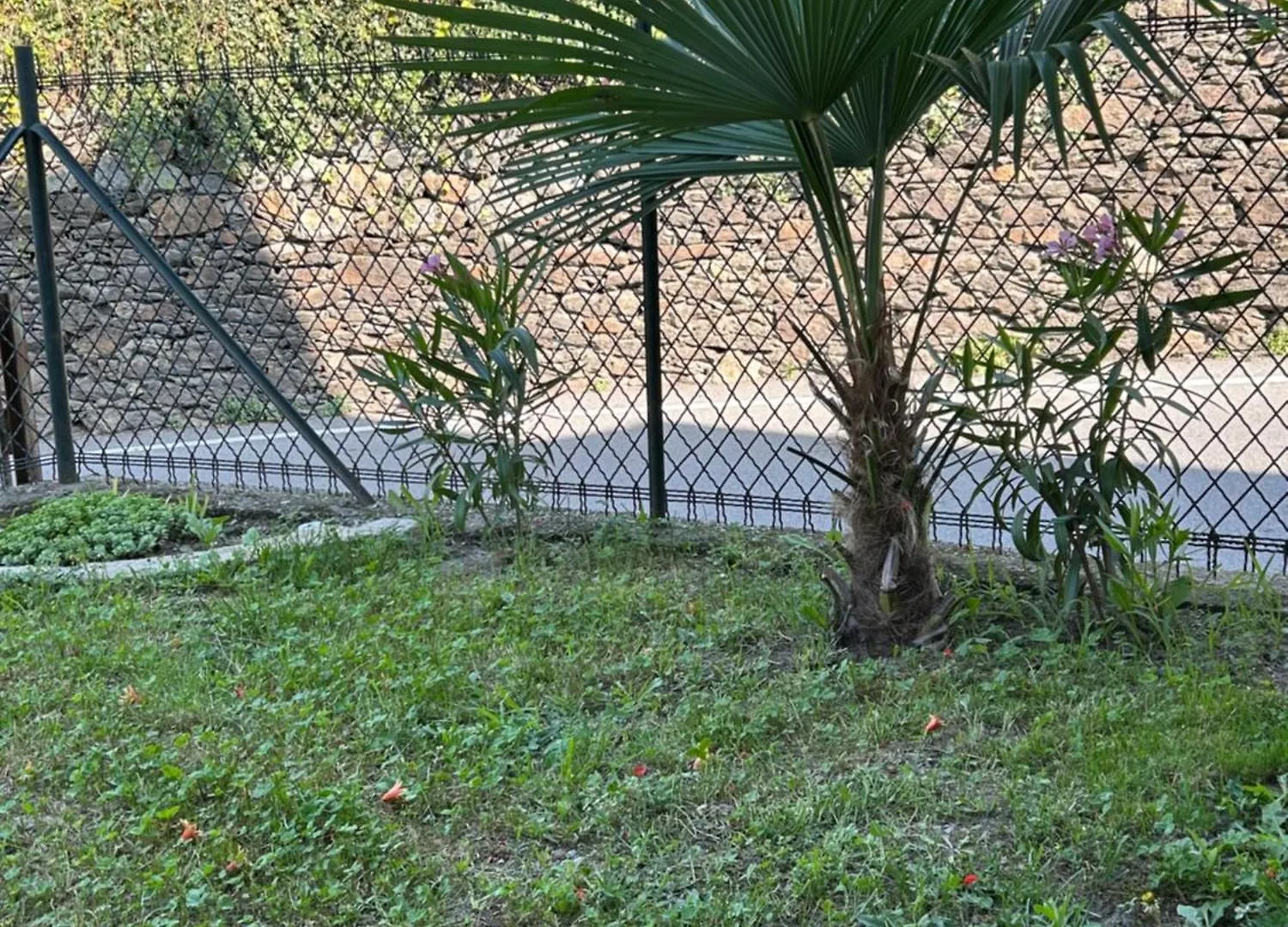 Casa Vacanza L'Oleandro Poggiridenti Italien
